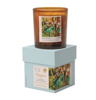 Paddywax - EMPRESYONİSTLER CAM MUM 170 gr. - MPRESSIONIST GLASS CANDLE DEGAS 'DANCERS, PINK & GREEN